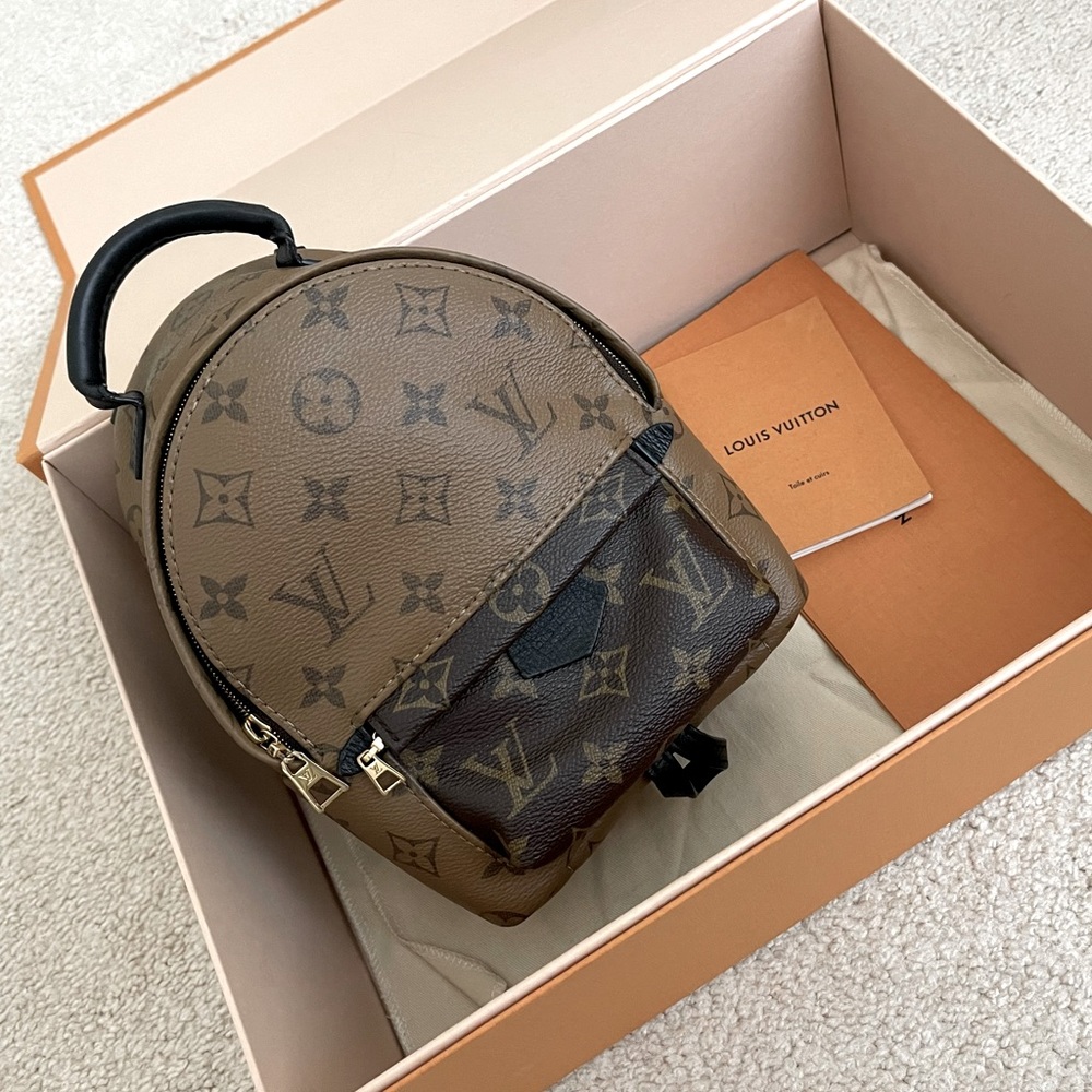 Louis Vuitton Reverse Monogram Palm Springs Backpack